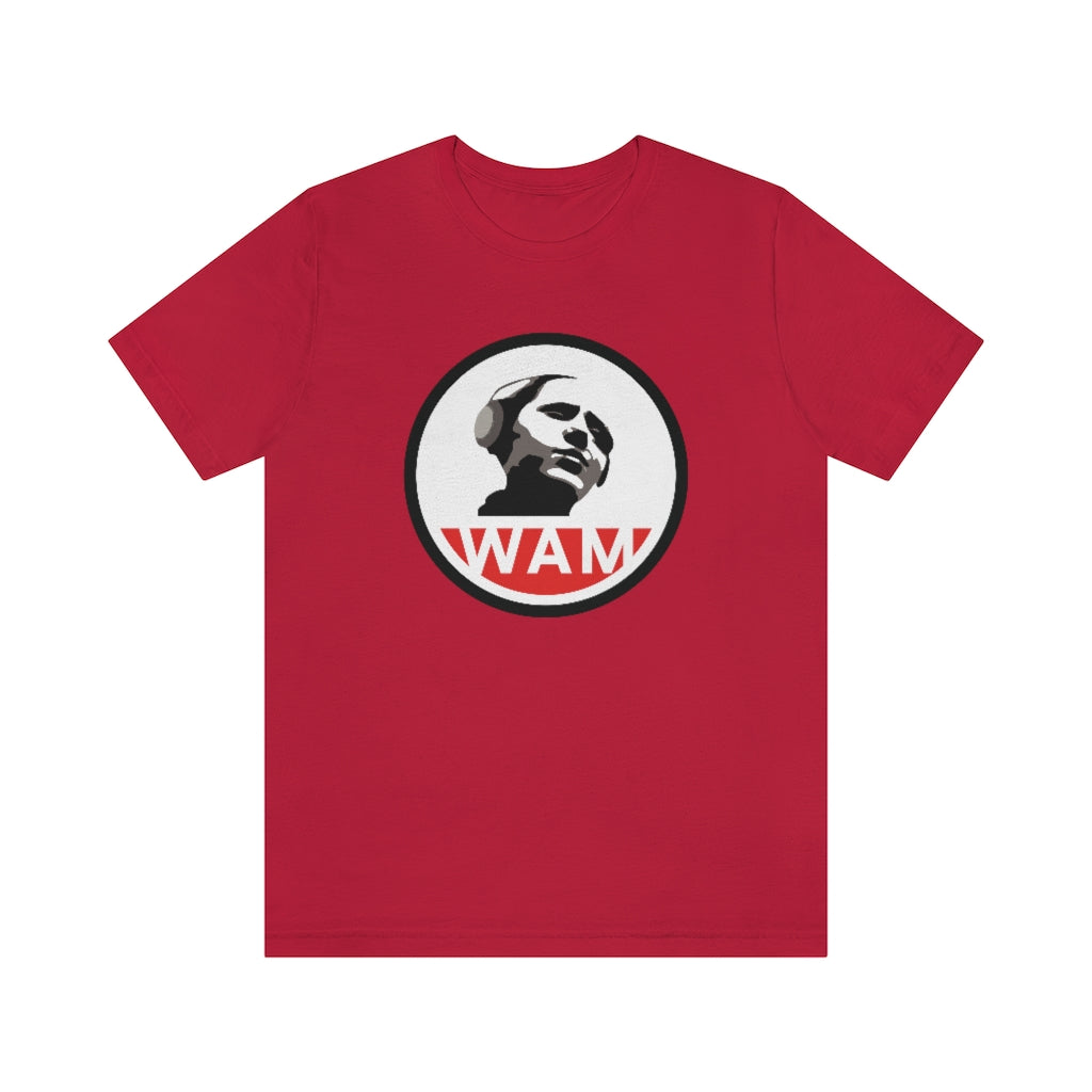 Short Sleeve Jersey T-Shirt - 13 Colors