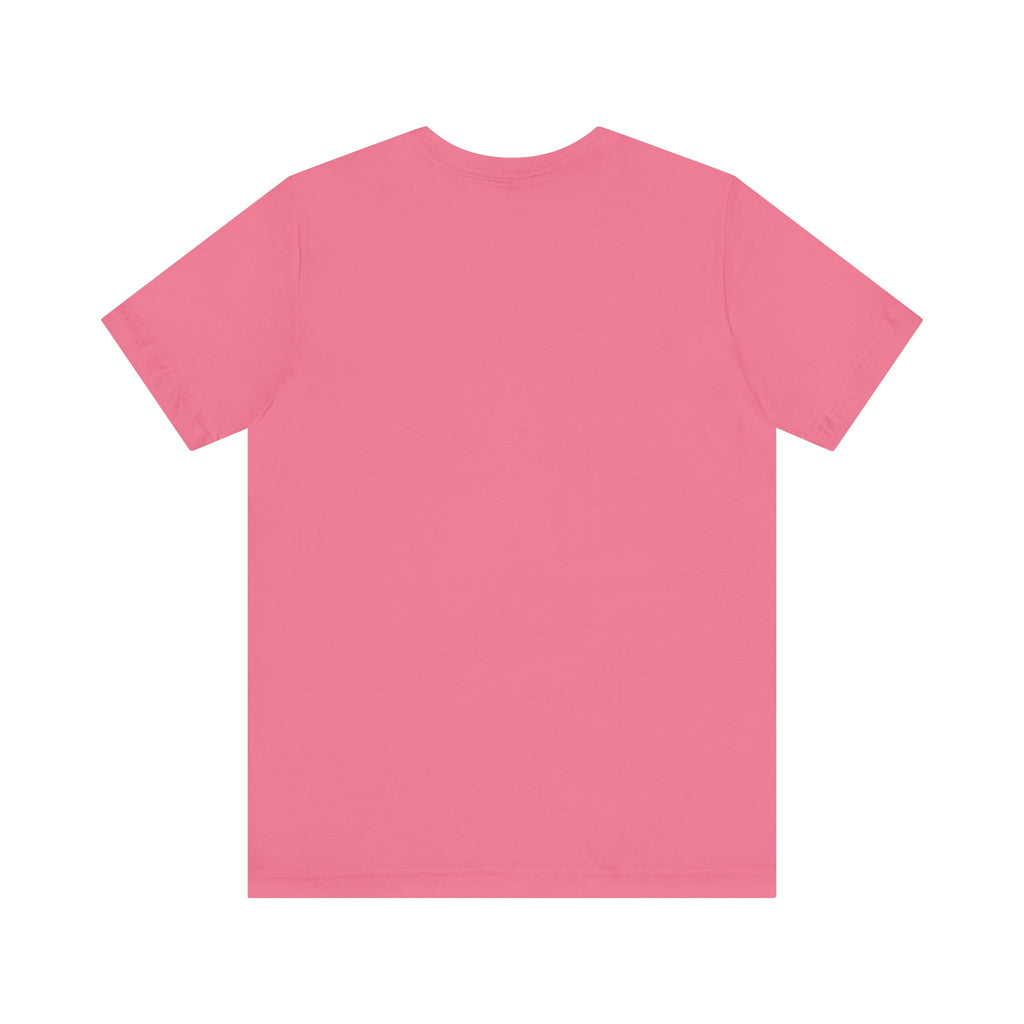Short Sleeve Jersey T-Shirt - 13 Colors