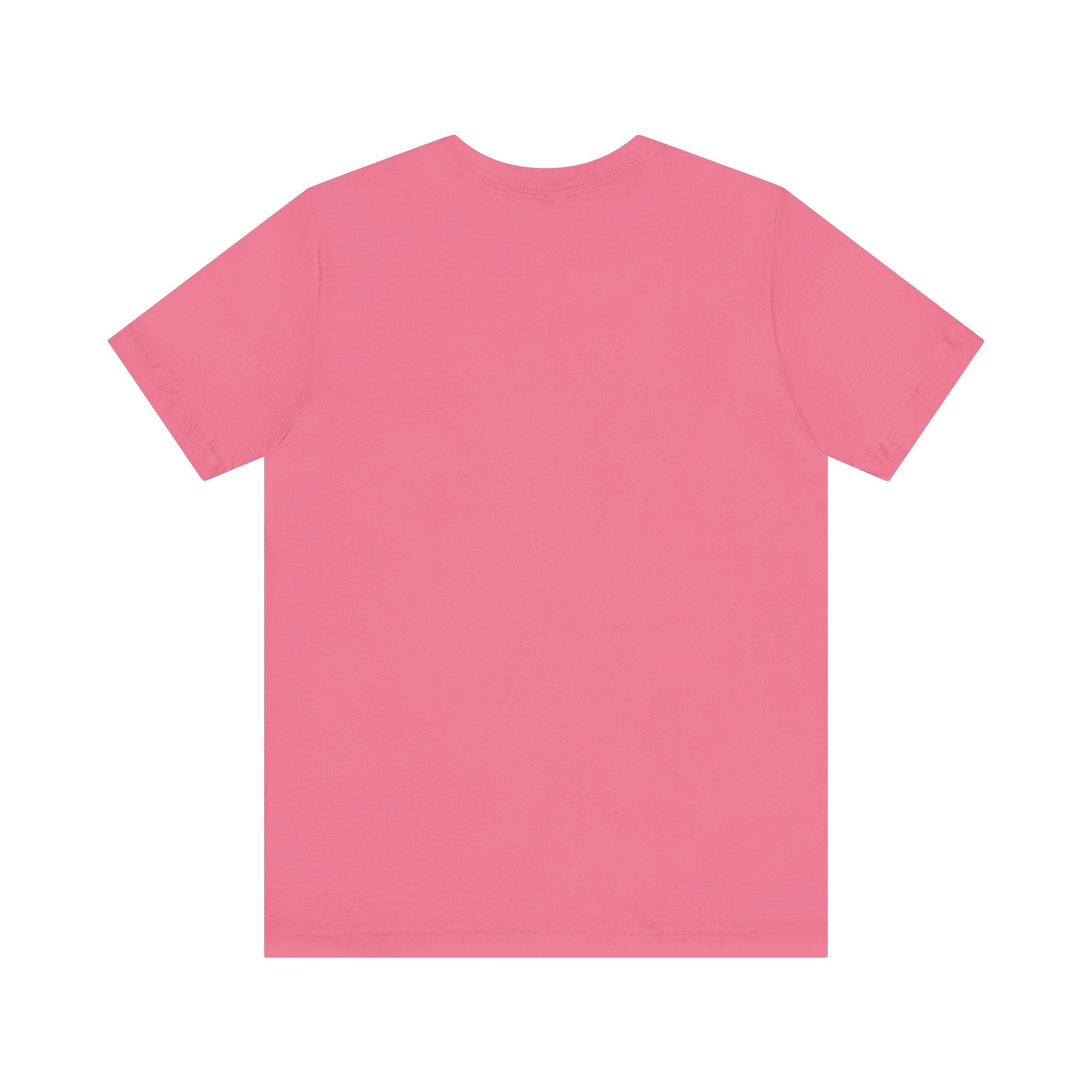 Short Sleeve Jersey T-Shirt - 13 Colors