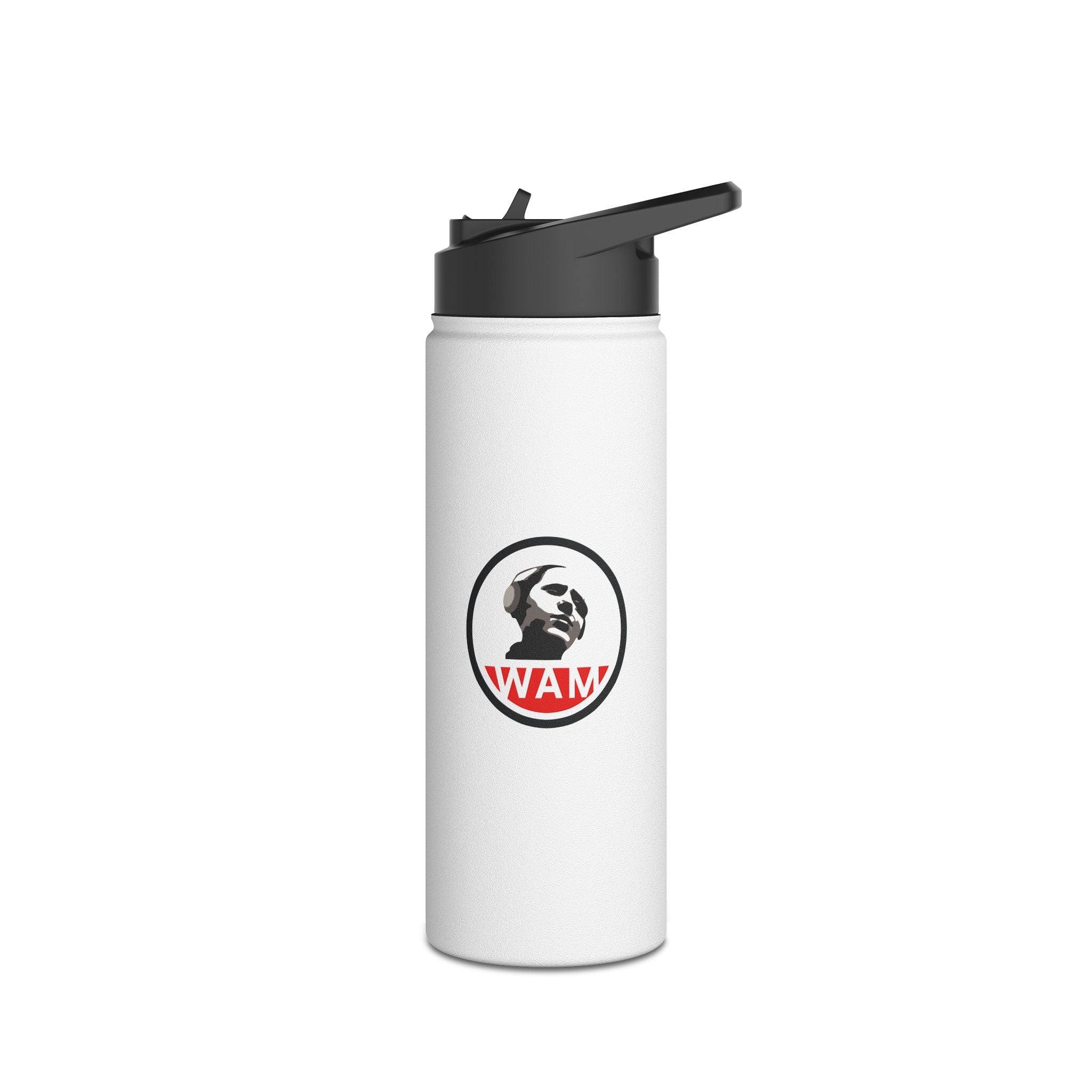 Stylish Stainless Steel Water Bottle - Perfect for Sports, Outdoors, Fitness, Travel, and Everyday Use