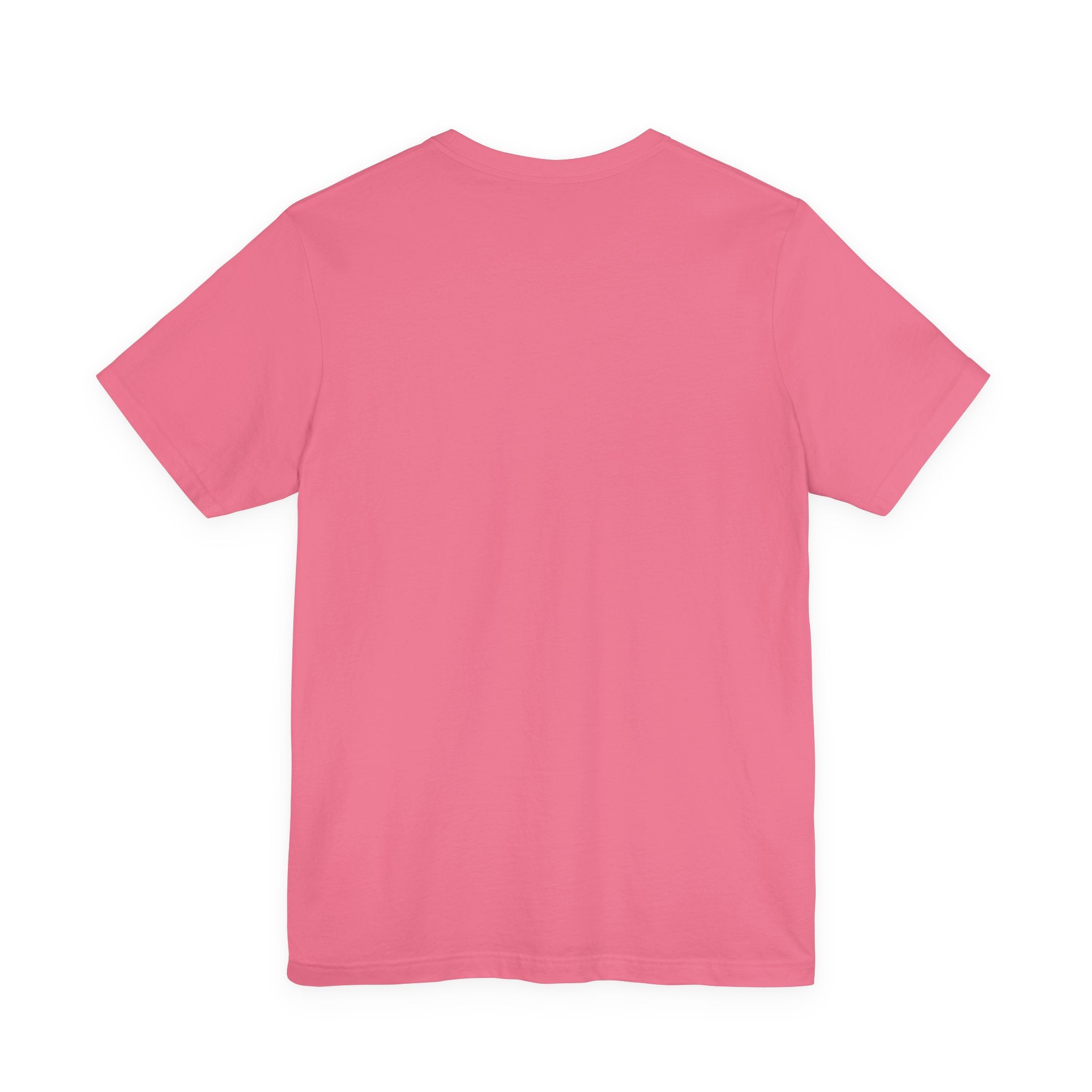 Short Sleeve Jersey T-Shirt - 13 Colors