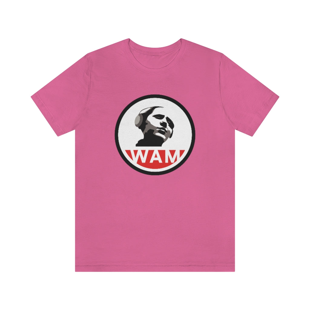Short Sleeve Jersey T-Shirt - 13 Colors