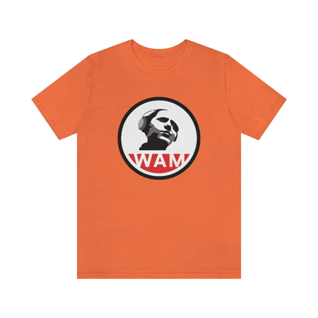 Short Sleeve Jersey T-Shirt - 13 Colors