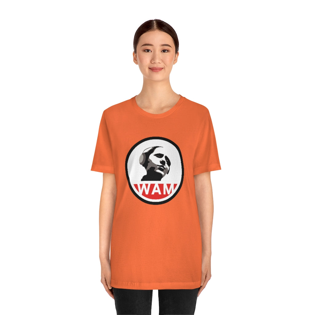 Short Sleeve Jersey T-Shirt - 13 Colors