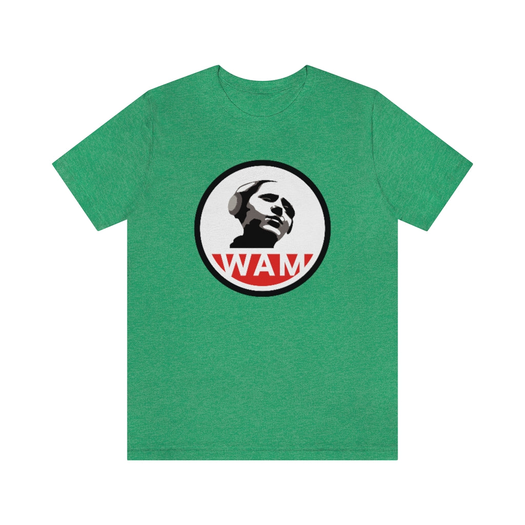 Short Sleeve Jersey T-Shirt - 13 Colors
